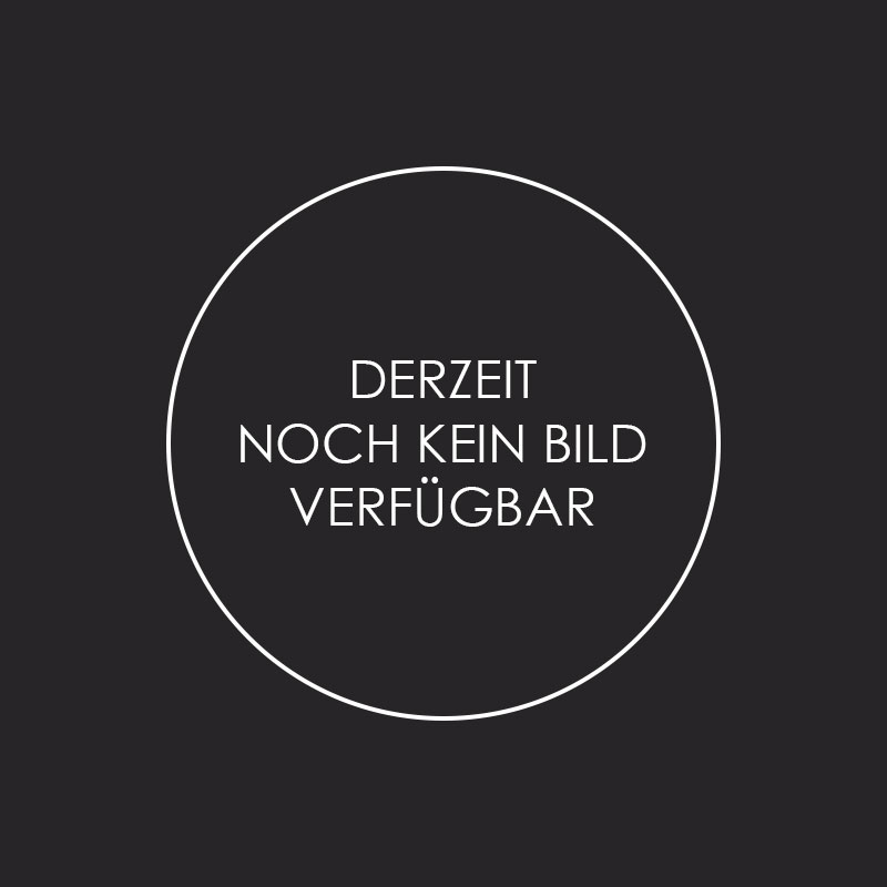 Nachrüstung Digitaltechnik CHRYSLER