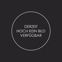 Nachrüstung Digitaltechnik WONDERBAR Radio