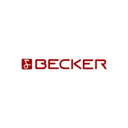 Digital Radio Conversion I BECKER Mexico, Brescia und Le Mans "Tube"