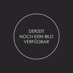 Nachrüstung Digitaltechnik I FORD Mustang 1967-1968